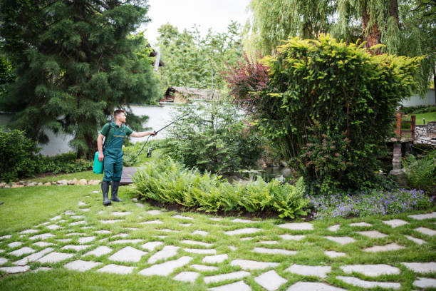 Best Local Pest Control Services  in Aransas Pass, TX