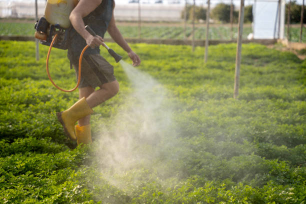 Best Affordable Pest Control Services  in Aransas Pass, TX