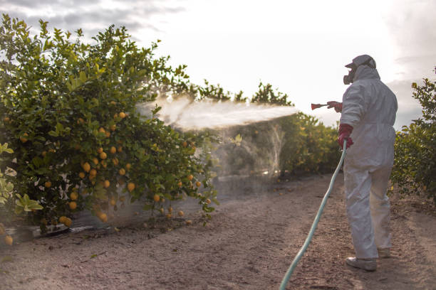 Best Pest Control Near Me in Aransas Pass, TX